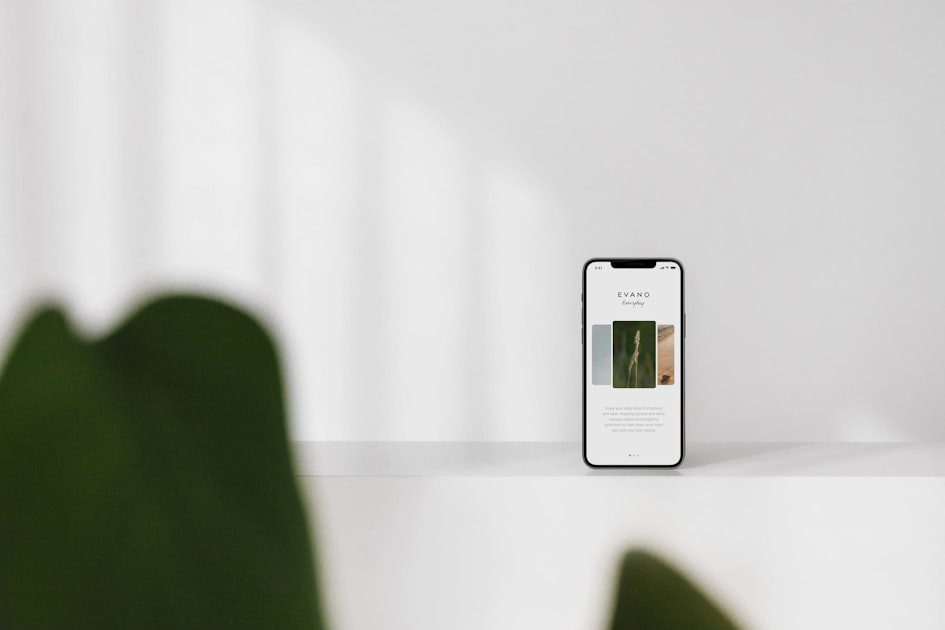 The Art of Minimalist Web Design